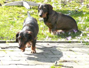 Erstes Checken